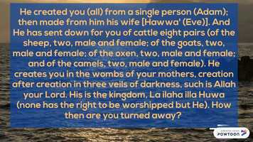 Free download  [Speedpaint  SELFIE!]  video and edit with RedcoolMedia movie maker MovieStudio video editor online and AudioStudio audio editor onlin